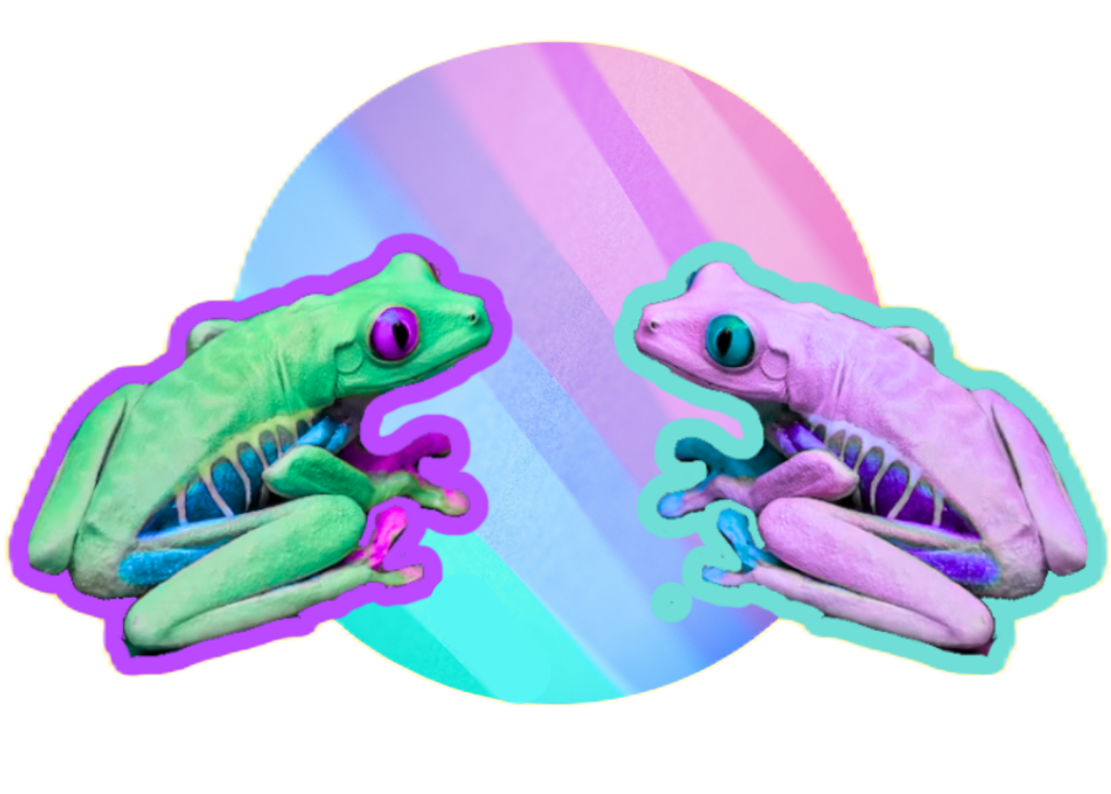 Atelier Tendresse Consentie